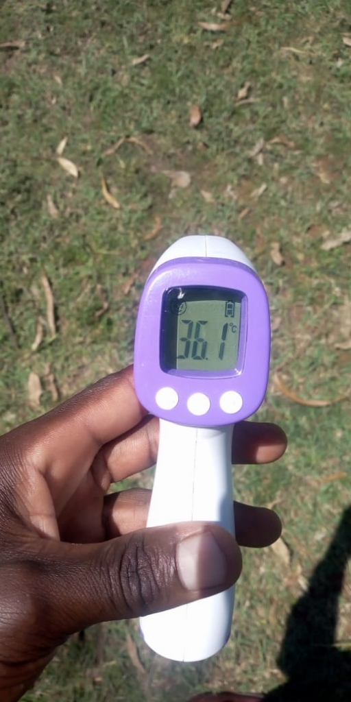 das_Fieberthermometer